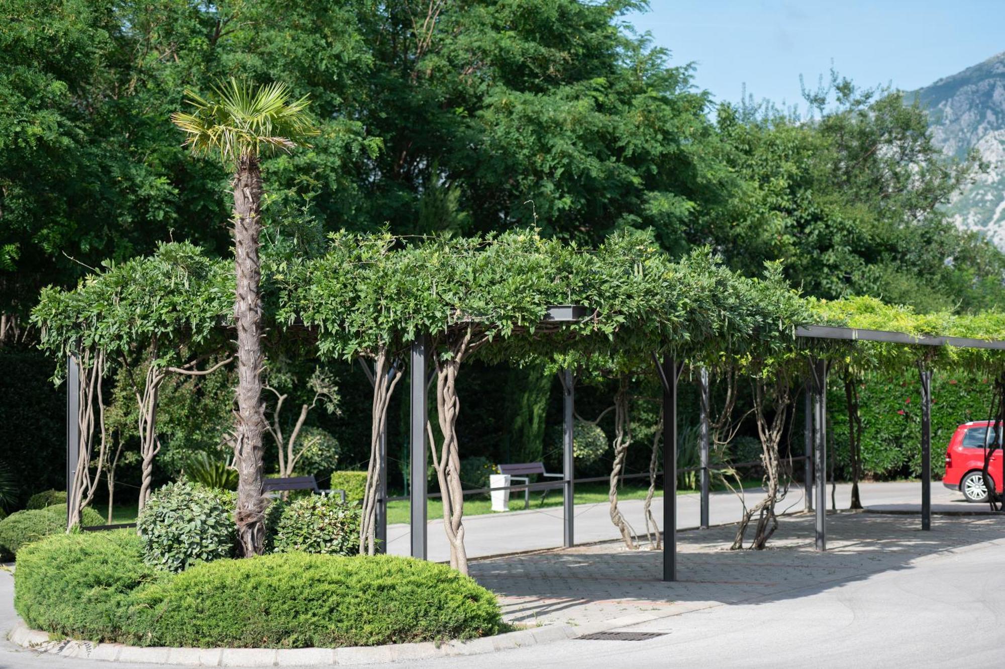 קוטור Green Bay Apartments Morinj מראה חיצוני תמונה